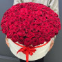101 красная роза в коробке фото 4