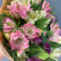 11 разноцветных альстромерий фото 2